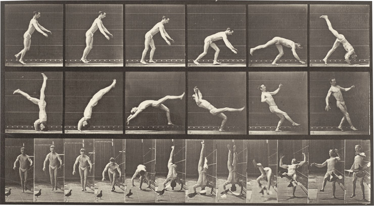 Muybridge - Plate 365 185_slideshow.jpg