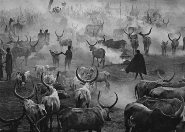 Dinka Cattle Camp 2006